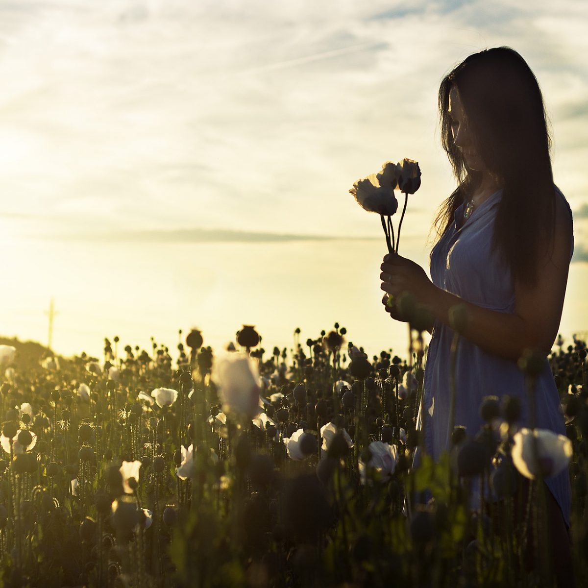 meditation fleurs meditation fleurs